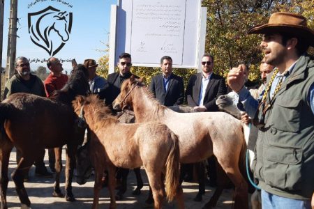 تصاویر | آئین نکوداشت ثبت ملی اسب کاسپین در آمل